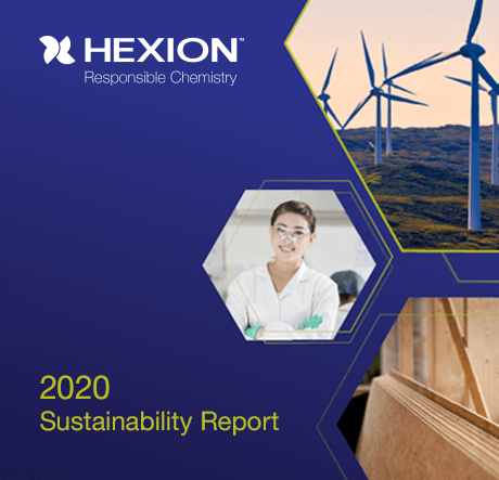 2019 Hexion Sustainability Report